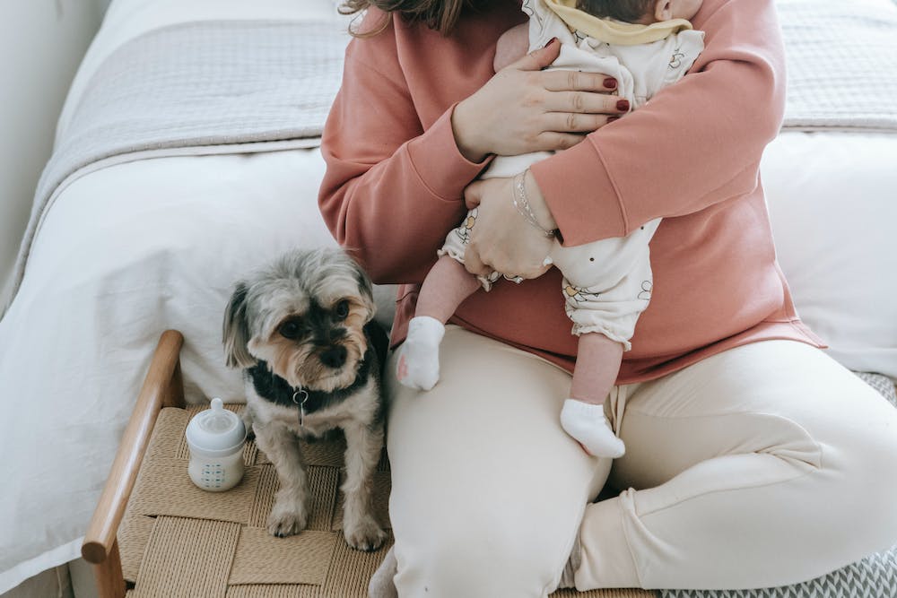 Nutrition during Pregnancy: Nourishing Mom and Baby