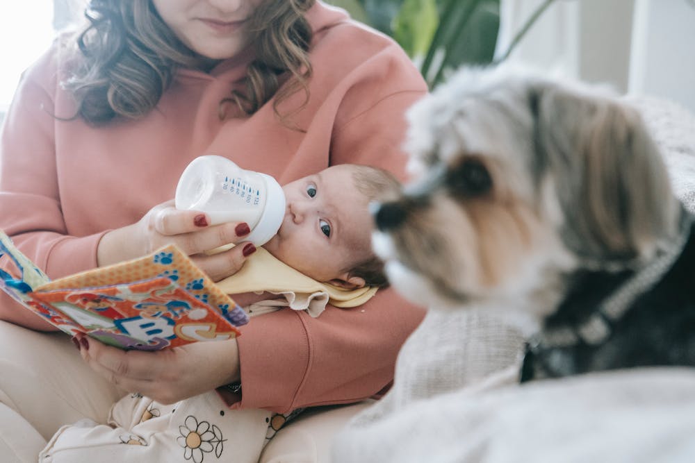 Nutrition during Pregnancy: Nourishing Mom and Baby